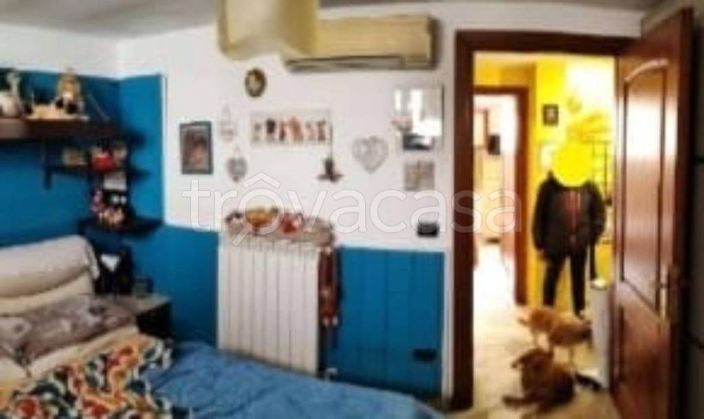 immagine annuncio 3 di 12