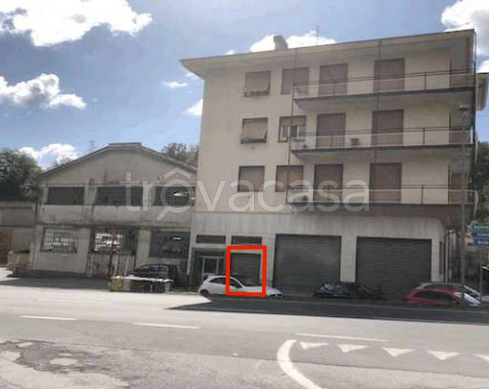 immagine annuncio 9 di 10