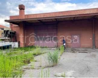 immagine annuncio 4 di 12