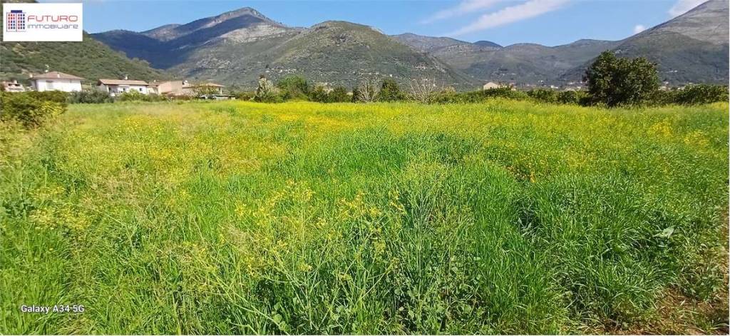 immagine annuncio 1 di 3