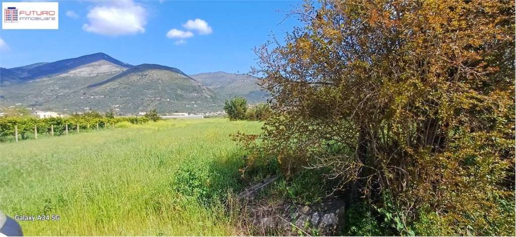 immagine annuncio 2 di 3