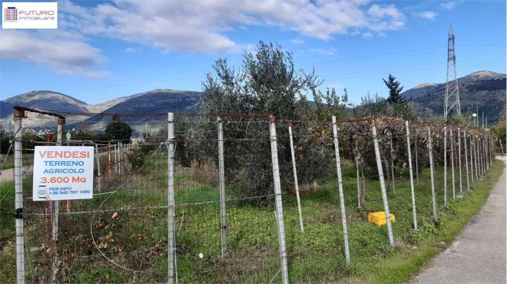 immagine annuncio 6 di 9