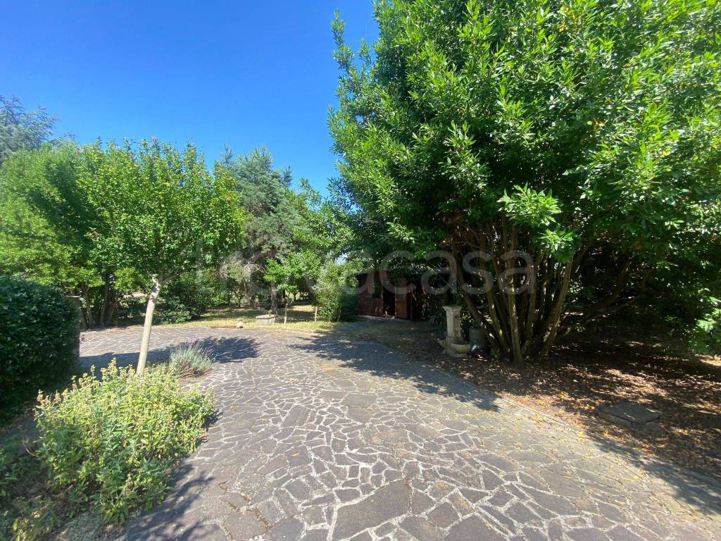 immagine annuncio 2 di 7