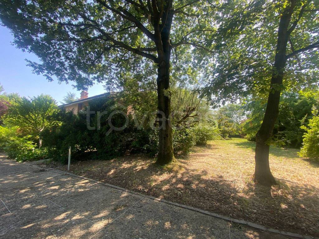 immagine annuncio 1 di 7