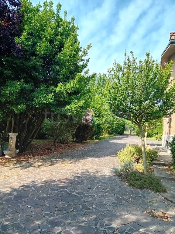 immagine annuncio 4 di 7