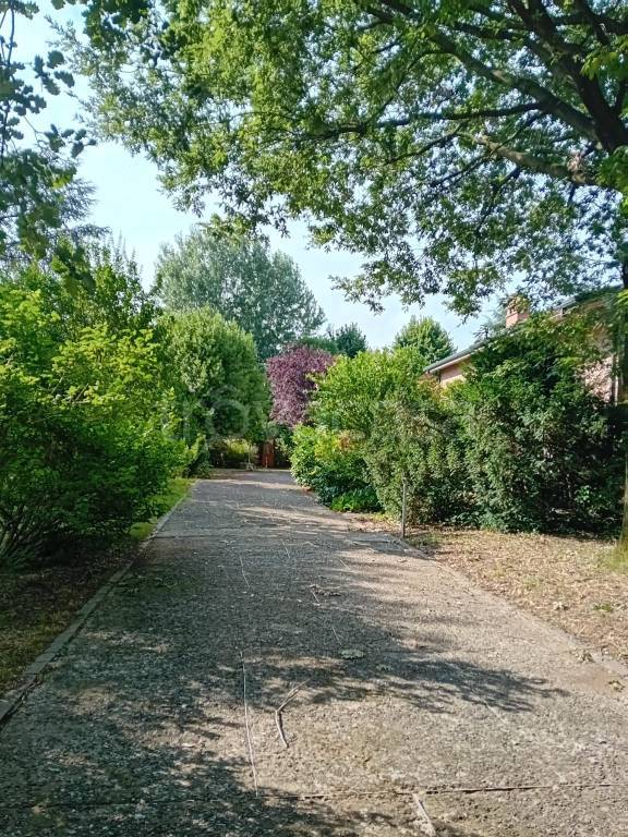 immagine annuncio 6 di 7