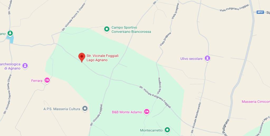 immagine annuncio 6 di 10