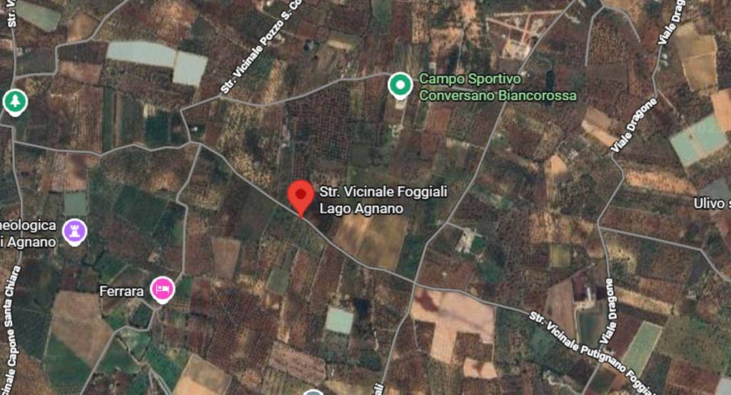 immagine annuncio 7 di 10