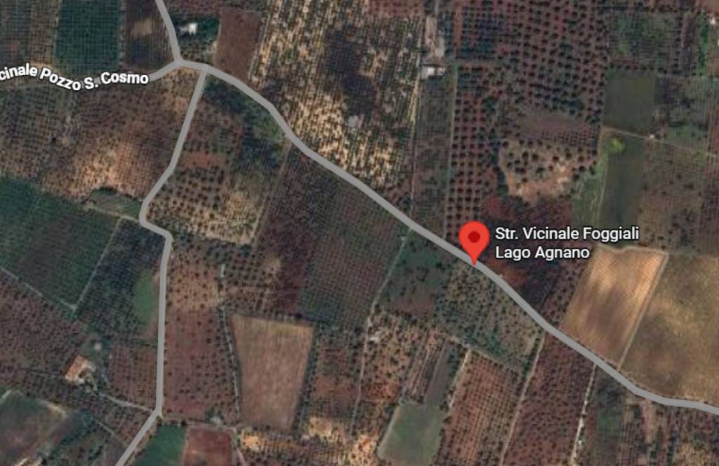 immagine annuncio 8 di 10