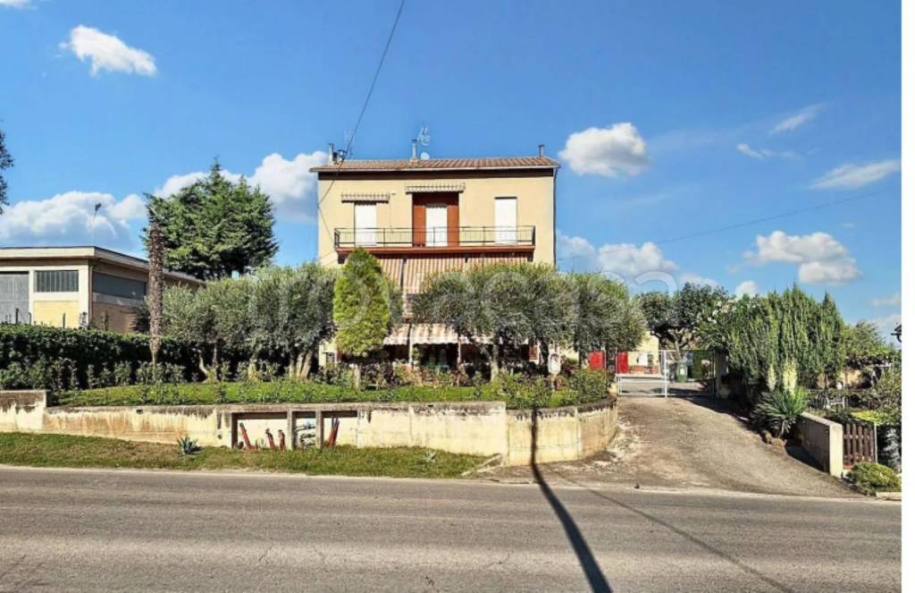 immagine annuncio 6 di 11