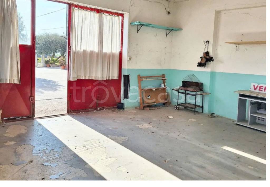 immagine annuncio 7 di 11