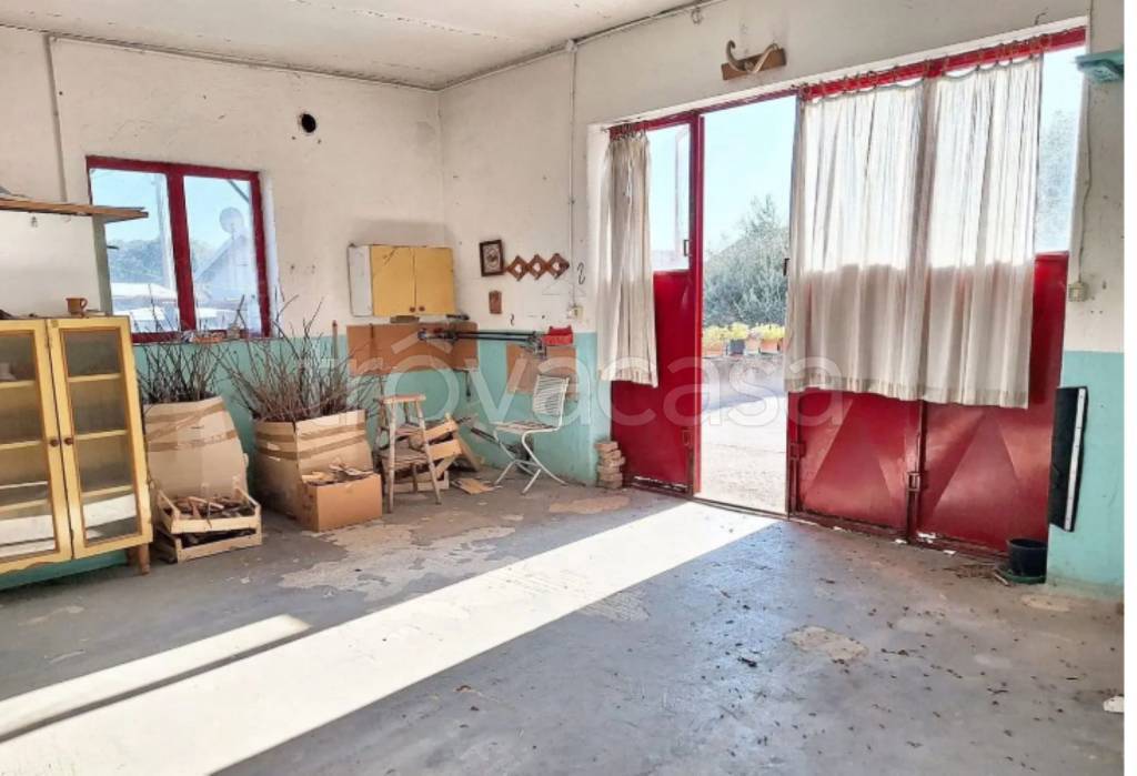 immagine annuncio 8 di 11