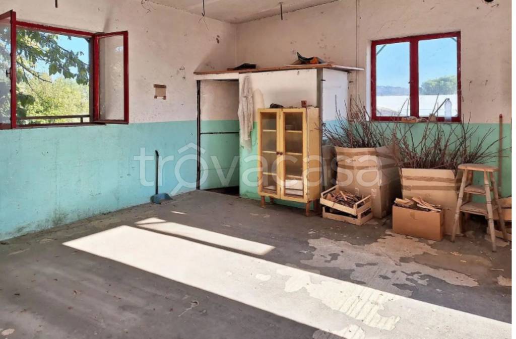 immagine annuncio 9 di 11