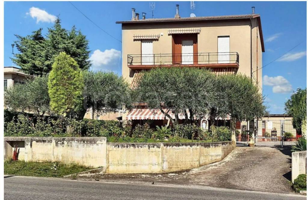 immagine annuncio 10 di 11