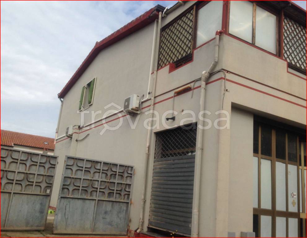 immagine annuncio 1 di 12