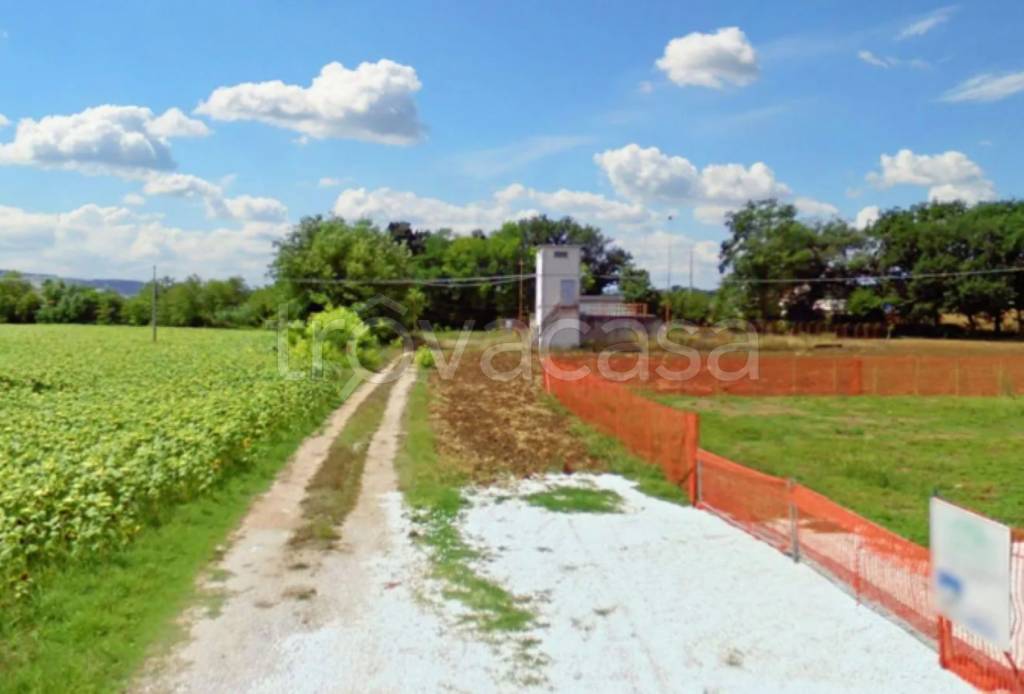 immagine annuncio 3 di 11