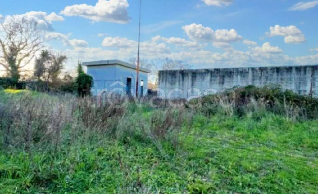 immagine annuncio 4 di 11