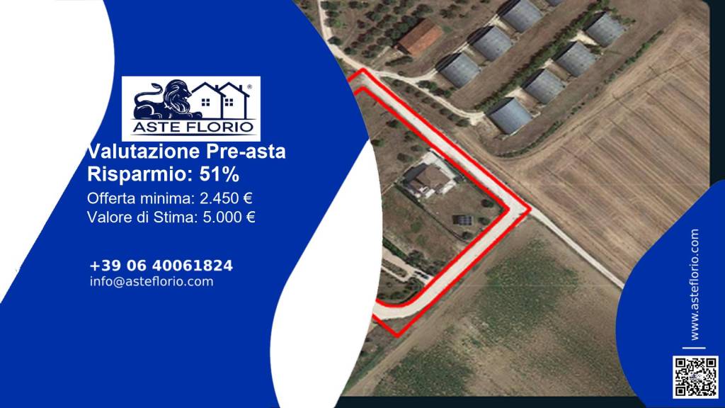 immagine annuncio 1 di 12