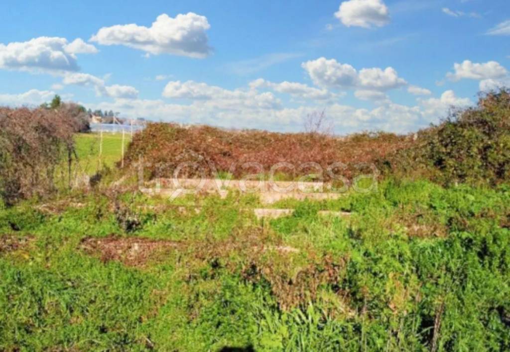 immagine annuncio 6 di 11