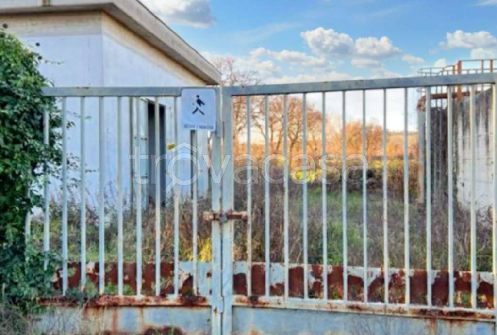 immagine annuncio 10 di 11