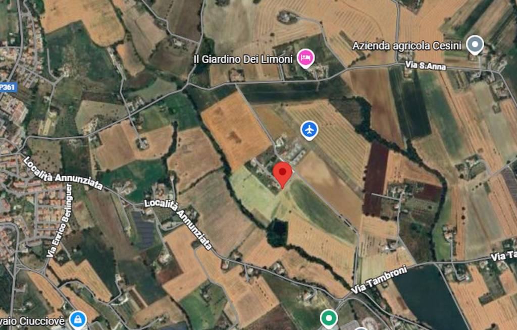 immagine annuncio 5 di 12