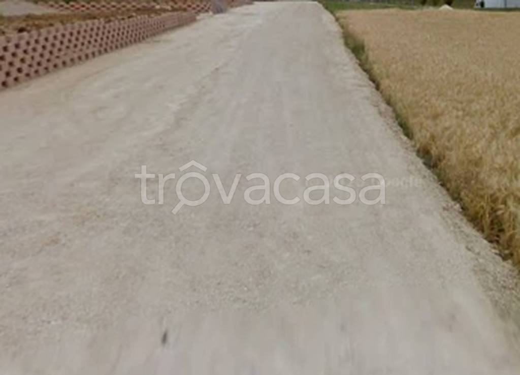 immagine annuncio 8 di 12