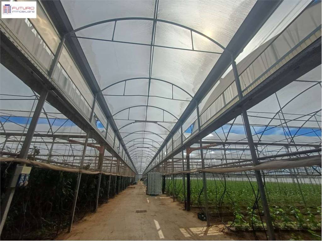 immagine annuncio 1 di 7