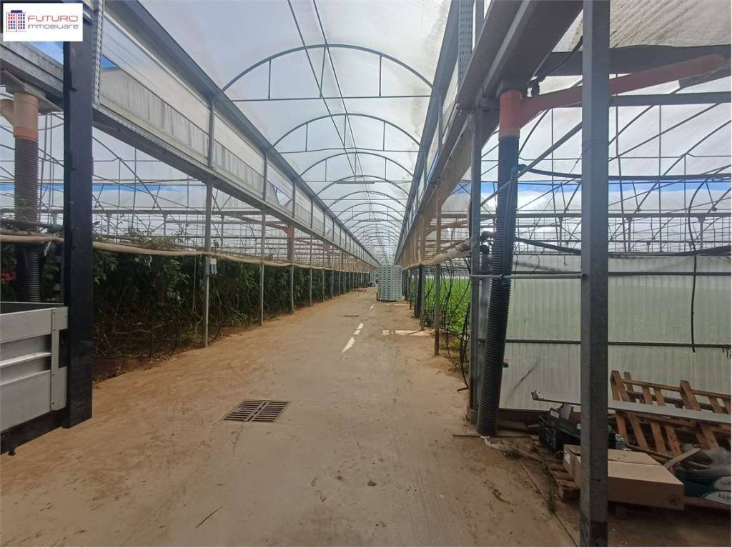 immagine annuncio 2 di 7