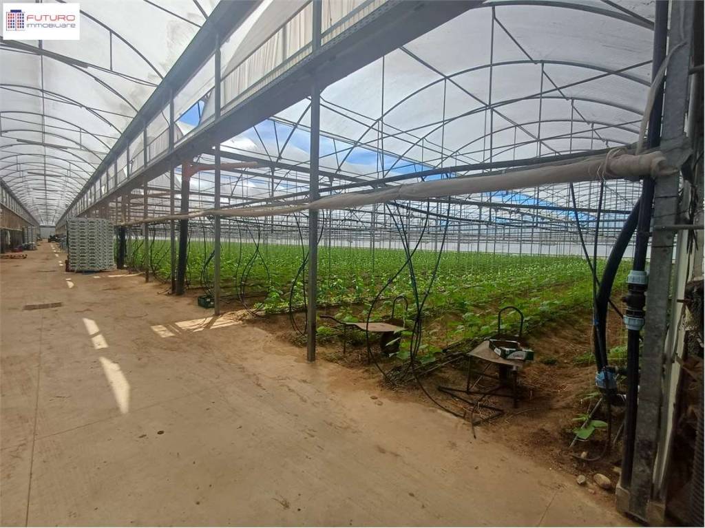 immagine annuncio 3 di 7