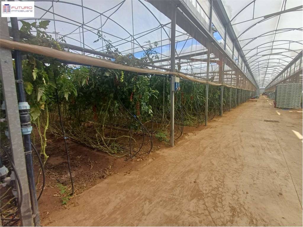 immagine annuncio 4 di 7