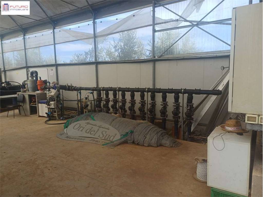 immagine annuncio 6 di 7