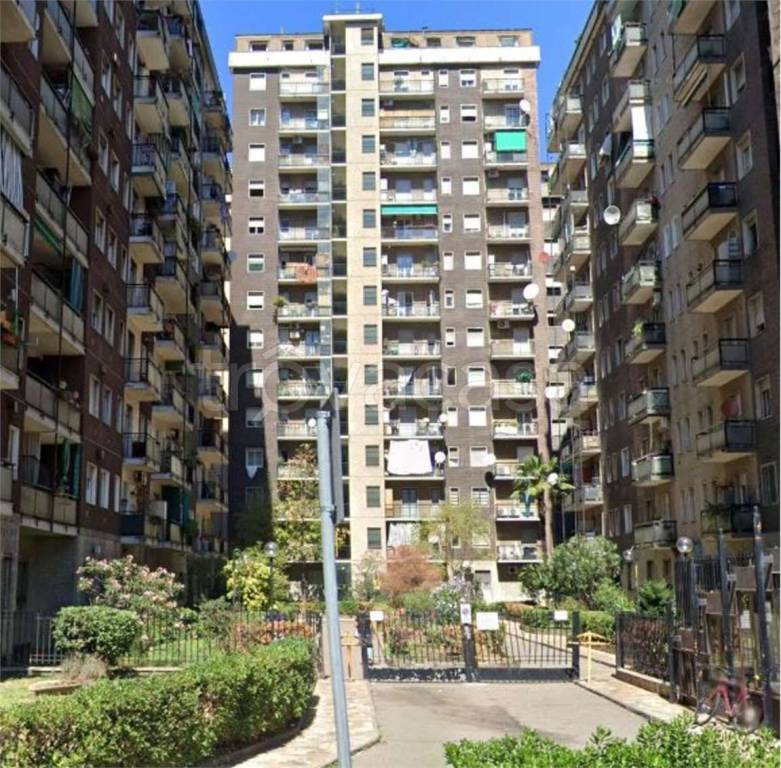 immagine annuncio 12 di 13