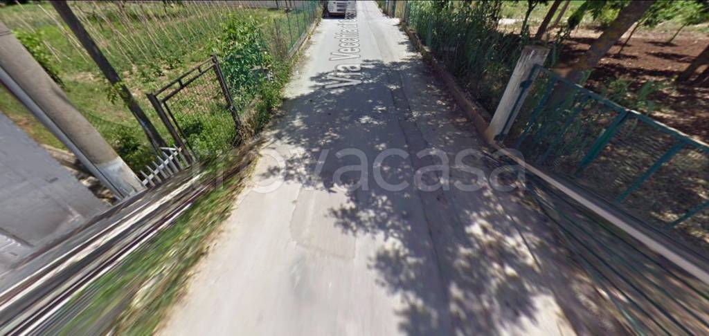 immagine annuncio 8 di 14