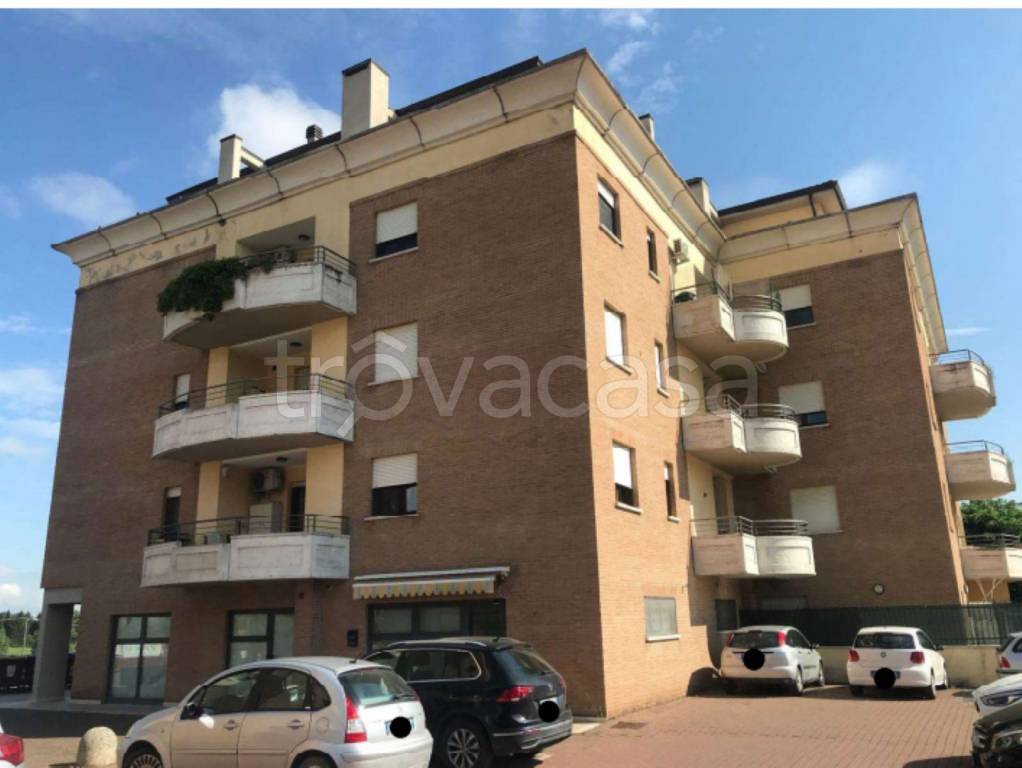 immagine annuncio 3 di 11