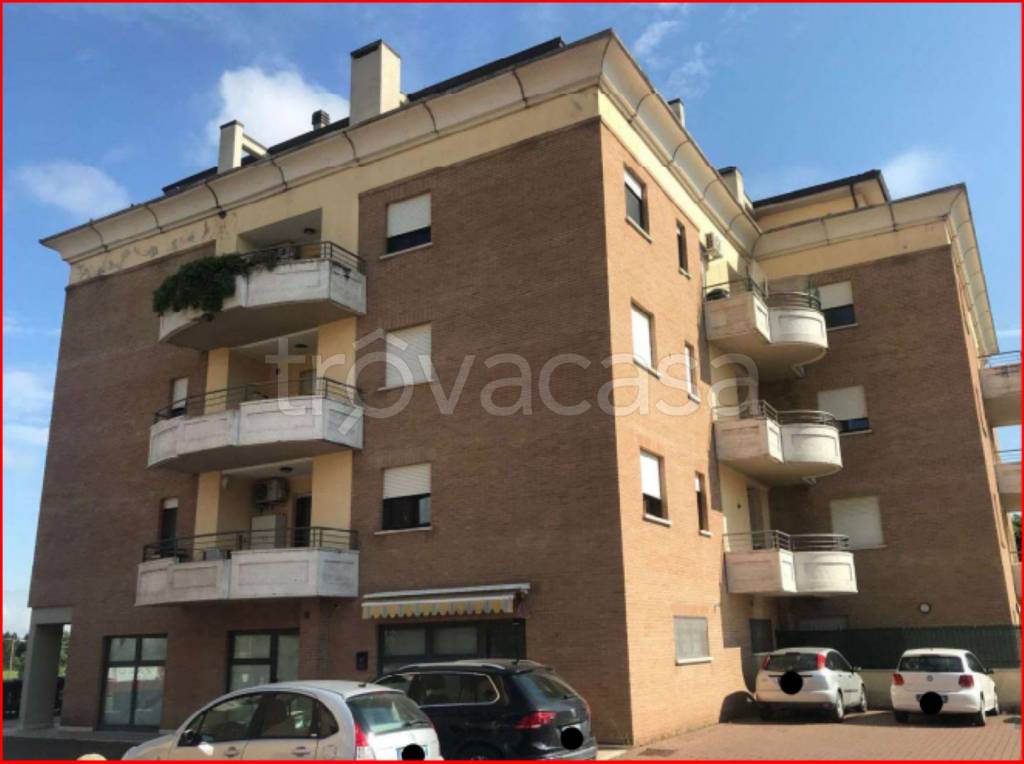 immagine annuncio 3 di 13