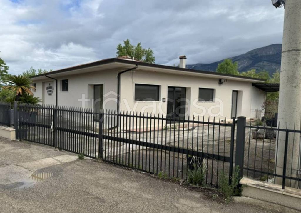 immagine annuncio 9 di 11