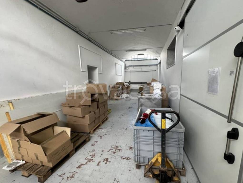 immagine annuncio 4 di 9