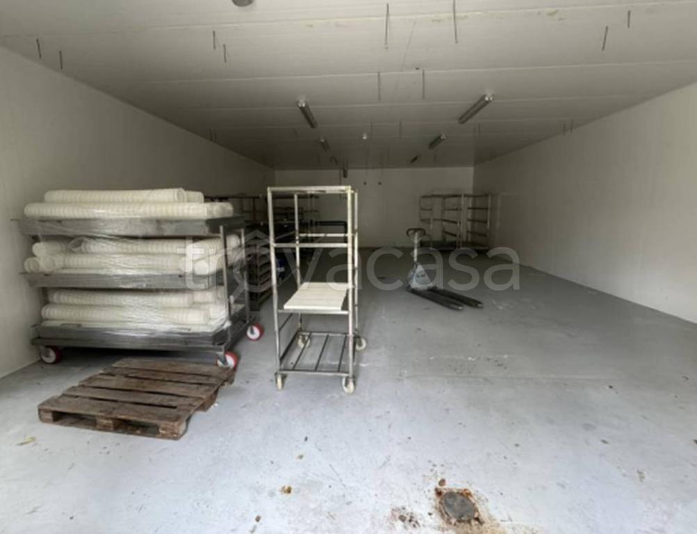 immagine annuncio 5 di 9