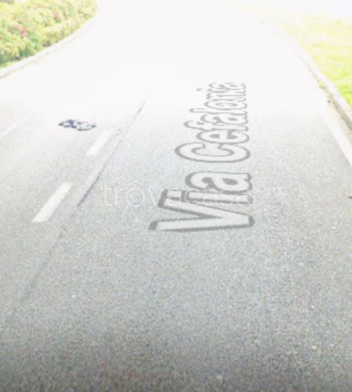 immagine annuncio 4 di 14