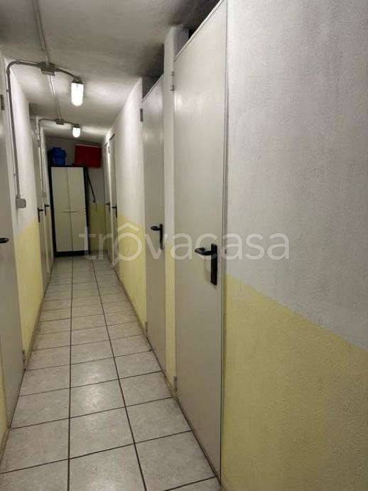 immagine annuncio 5 di 12