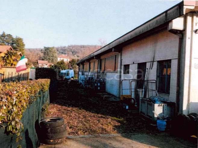 immagine annuncio 2 di 7