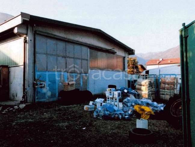 immagine annuncio 3 di 7