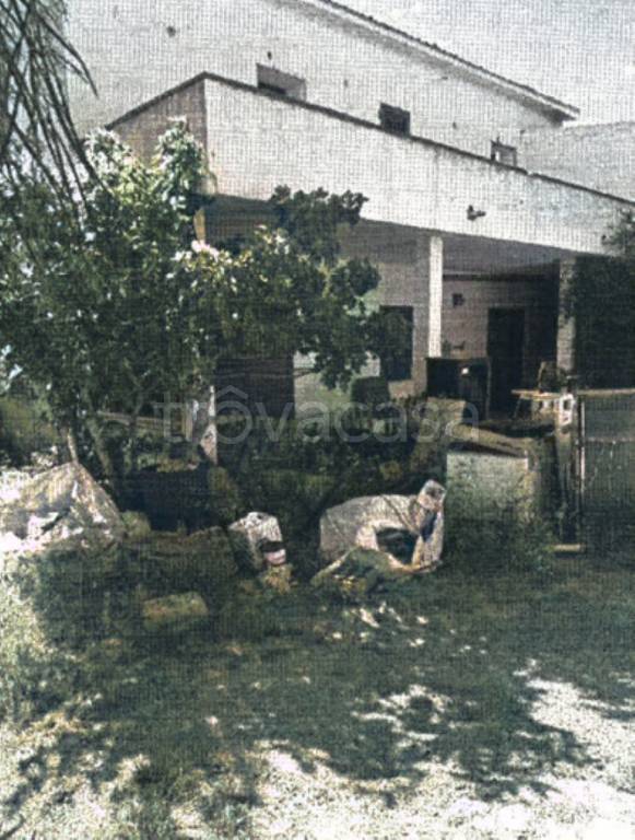 immagine annuncio 2 di 14