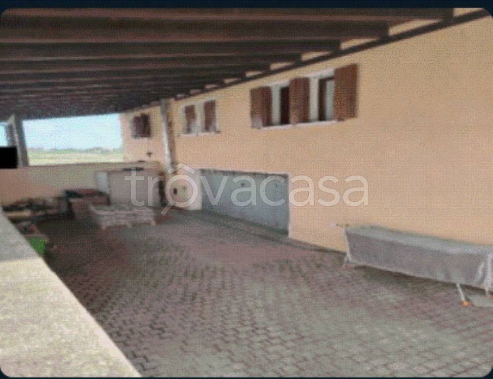 immagine annuncio 8 di 12