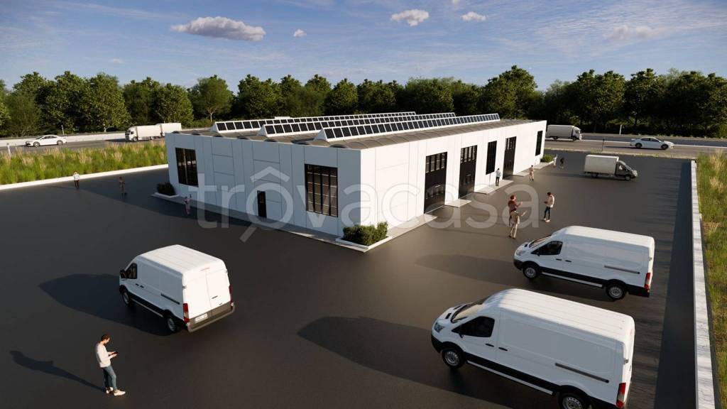 immagine annuncio 3 di 10