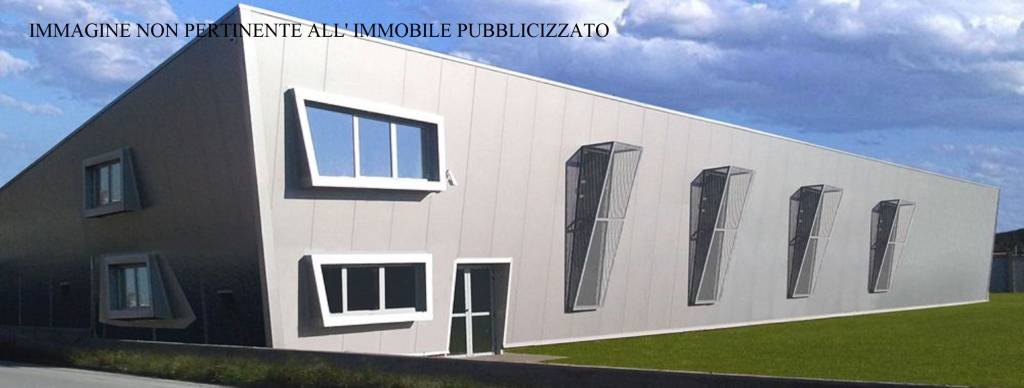 immagine annuncio 9 di 10