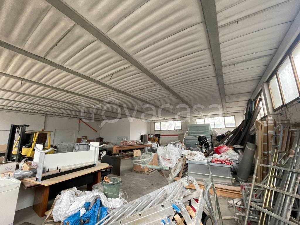 immagine annuncio 10 di 15