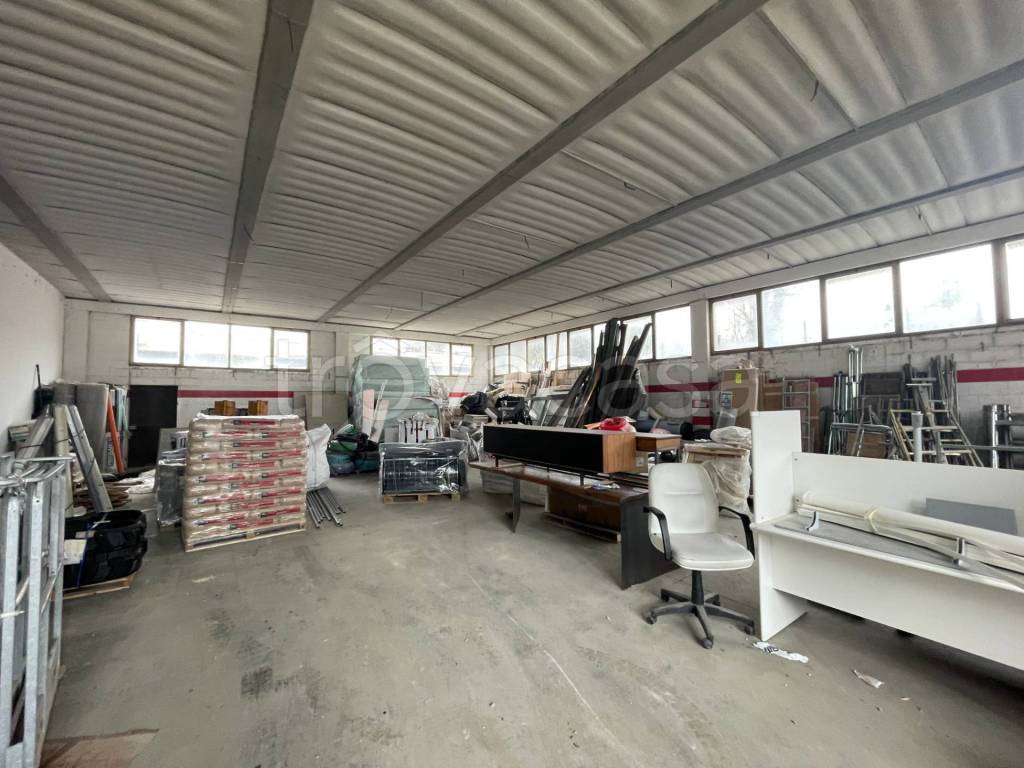 immagine annuncio 11 di 15