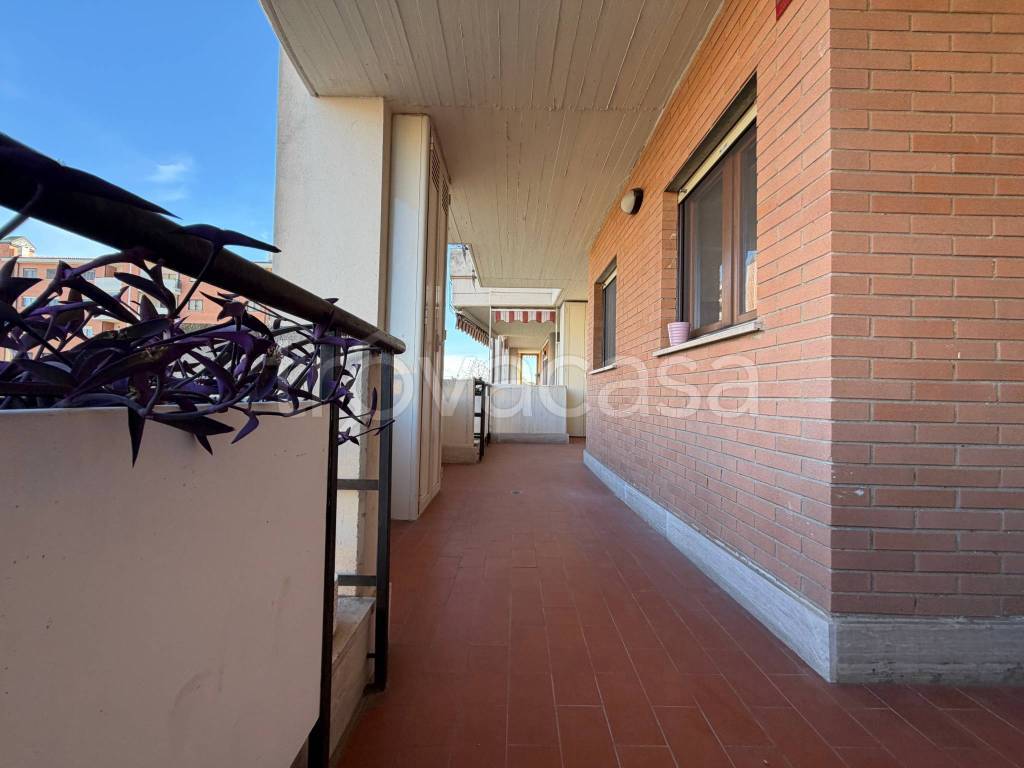 immagine annuncio 10 di 14