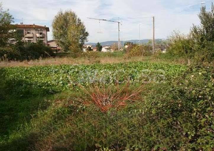 immagine annuncio 3 di 11